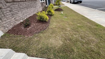 803 Courting St, Apex, NC 27523