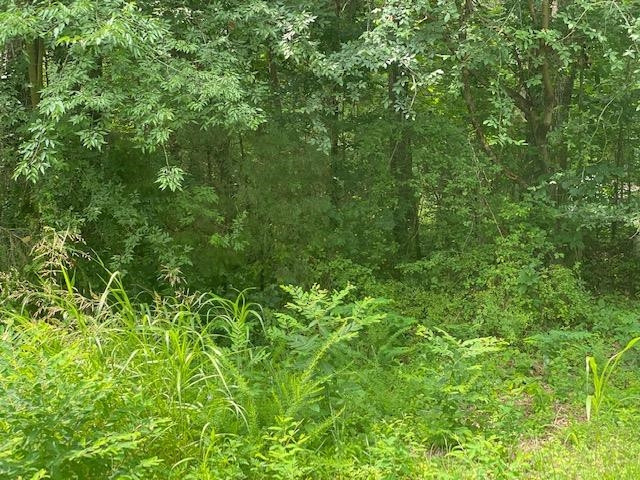 803 Terrace View Dr Lot 9, Chapel Hill, NC 27516