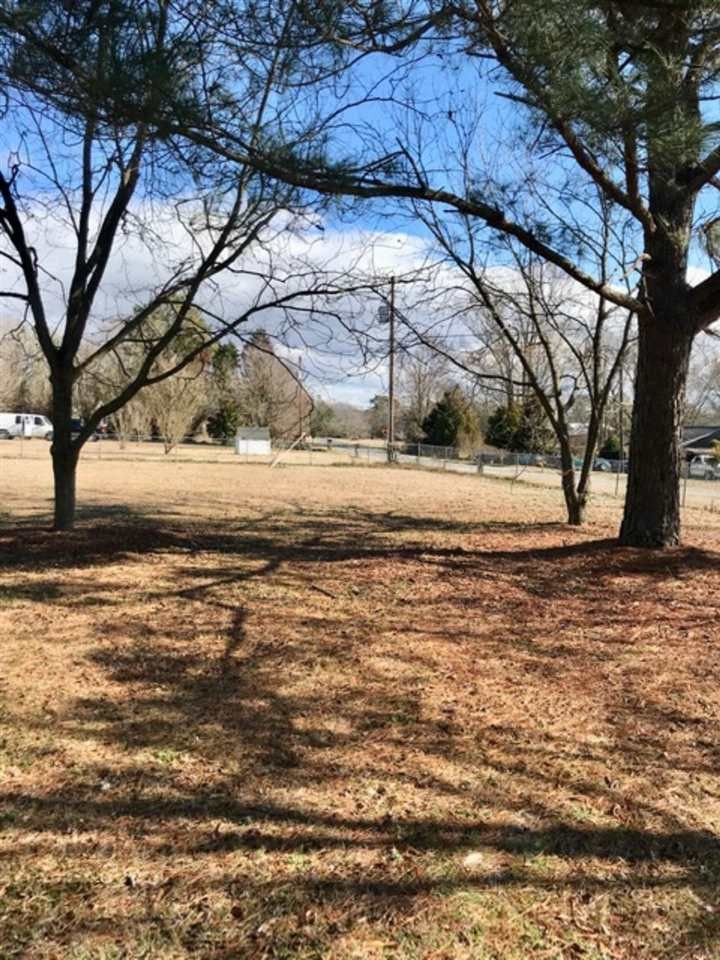 805 Butts Rd, Angier, NC 27501