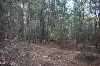 806 Carpenter Fletcher Rd Lot 06, Durham, NC 27713