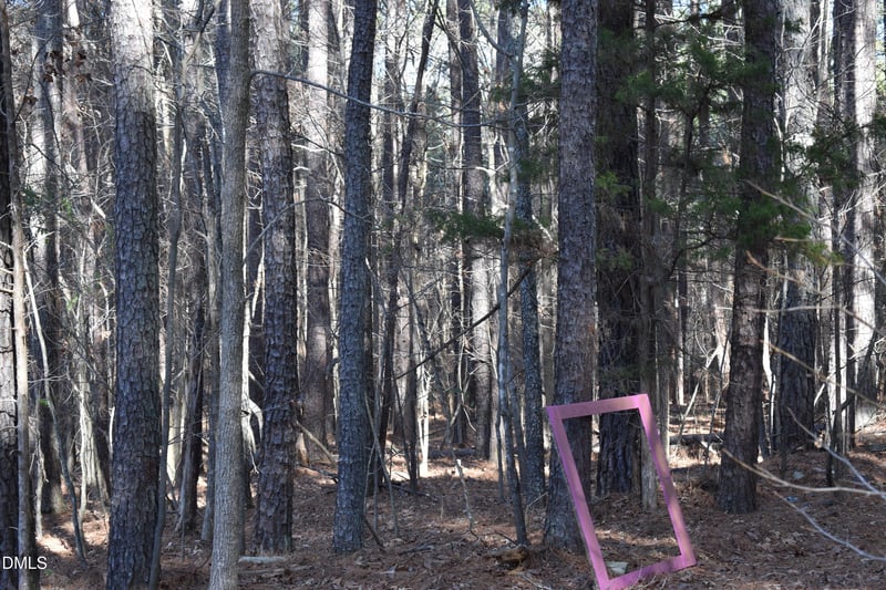 806 Carpenter Fletcher Rd Lot 06, Durham, NC 27713