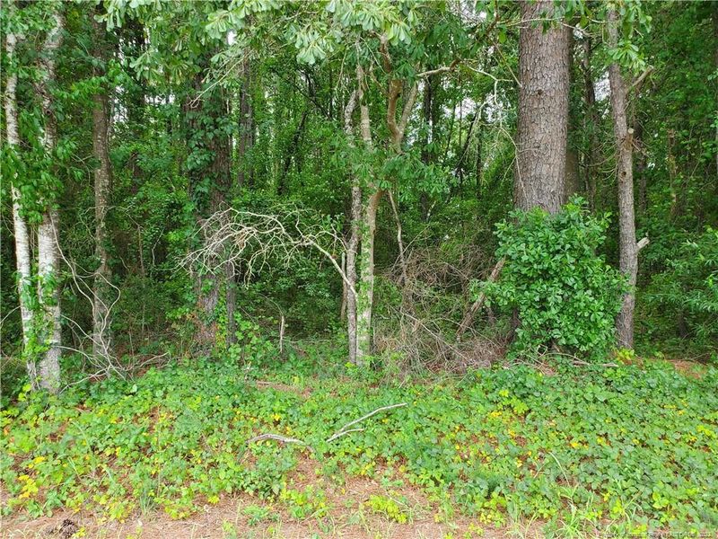 8063 Saplin Dr, Hope Mills, NC 28348