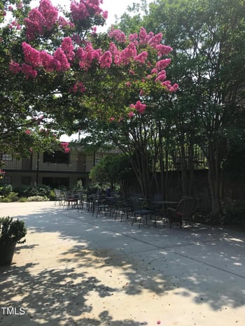 807 Trinity Ave #Apt 209, Durham, NC 27701