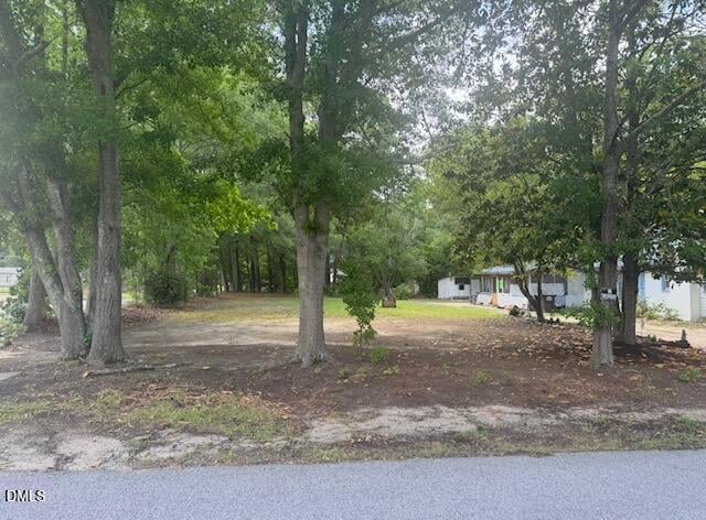 808 12th St, Lillington, NC 27546