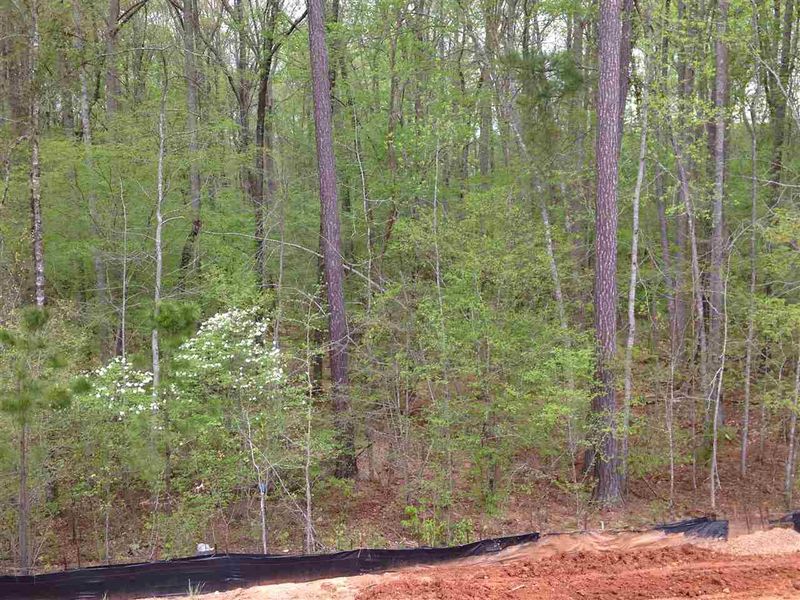 809 Ancient Oaks Dr, Holly Springs, NC 27540