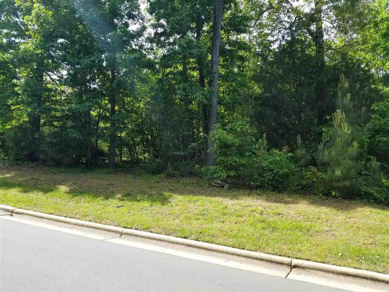 81 Cabin Creek Lot 385, Pittsboro, NC 27312