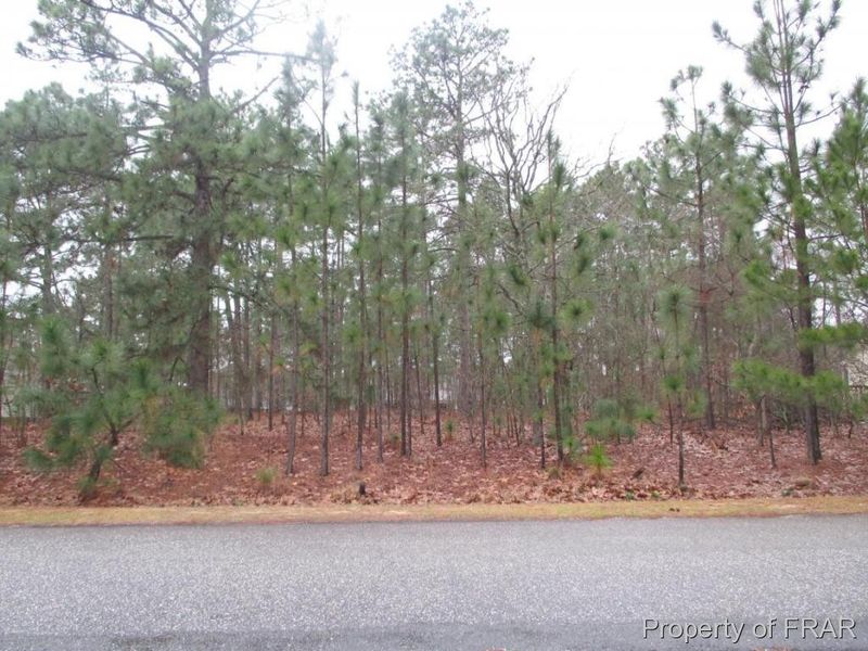 81 Edgemont, Sanford, NC 27332