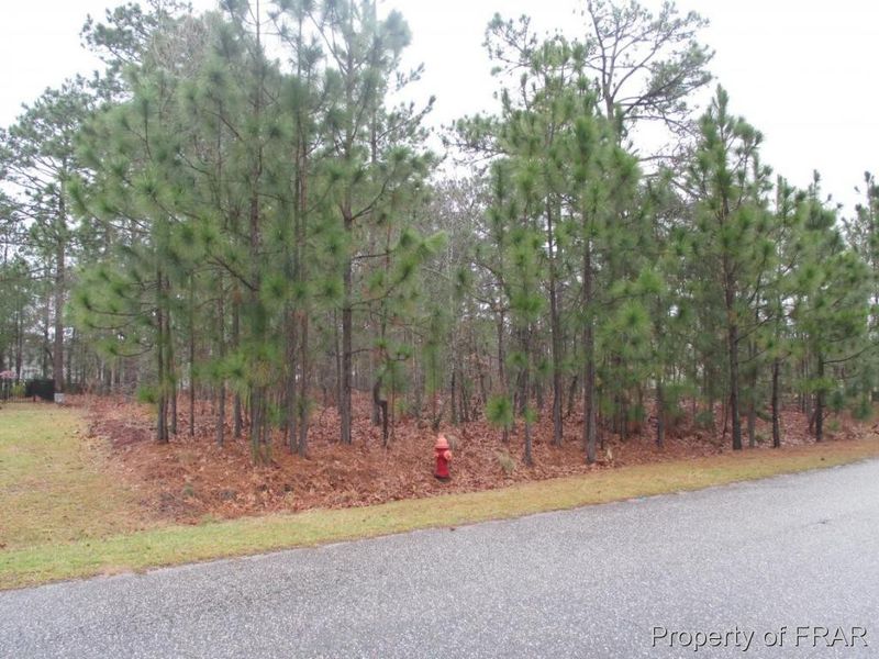 81 Edgemont, Sanford, NC 27332