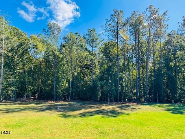 81 Syracuse Dr, Clayton, NC 27527