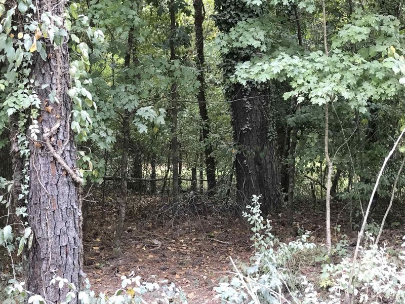 810 Ardmore Dr Lot 13, Durham, NC 27713