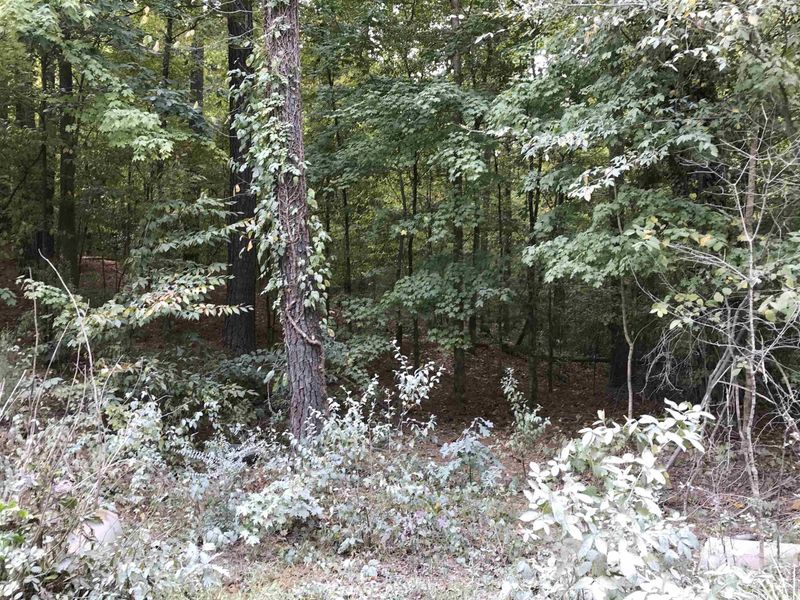 810 Ardmore Dr Lot 13, Durham, NC 27713