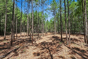 810 W Chatham St Lot N/A, Cary, NC 27511