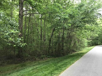8103 Belgium Dr Lot 84, Raleigh, NC 27606