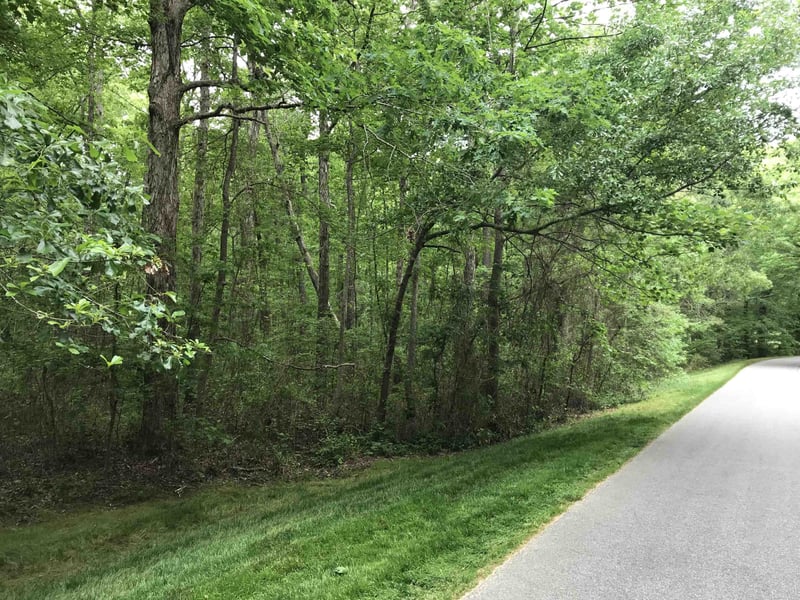 8103 Belgium Dr Lot 84, Raleigh, NC 27606