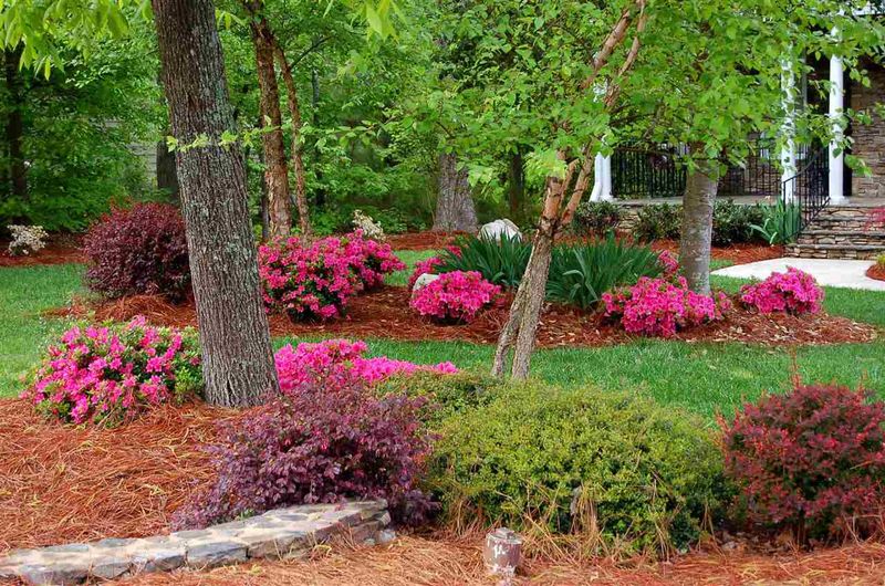 8111 Henderson Rd, Apex, NC 27539