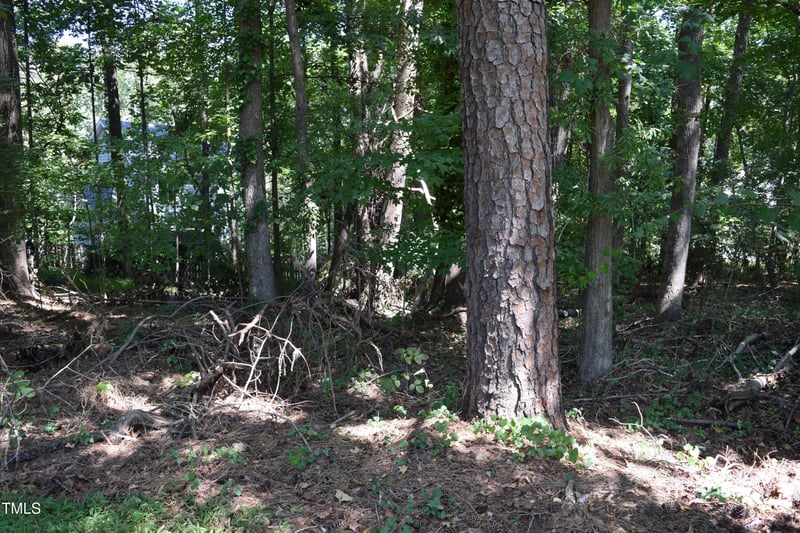 812 Wingate St, Wake Forest, NC 27587
