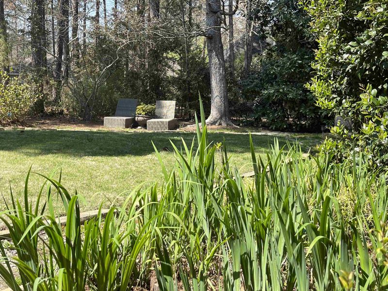 81400 Alexander, Chapel Hill, NC 27517