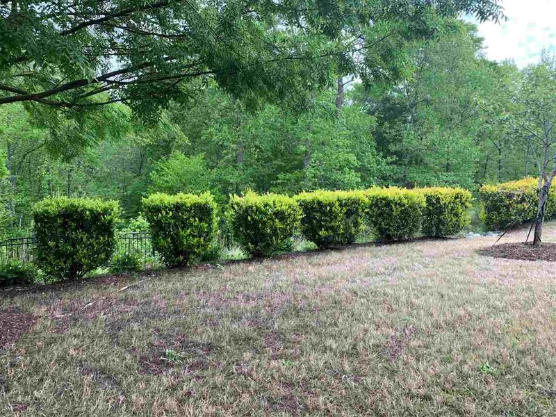 815 Footbridge Pl, Cary, NC 27519