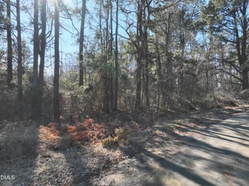816 Mitchell Ave Lot 312, Franklinton, NC 27525