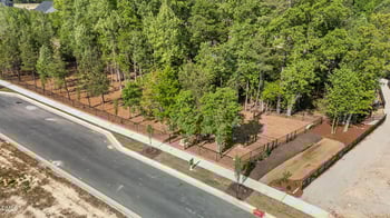 817 Diana Victoria Ct, Wendell, NC 27591