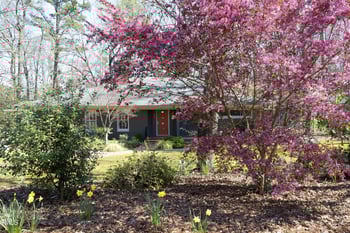817 Old Mill Rd, Chapel Hill, NC 27514