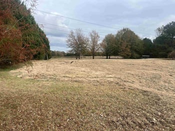 82 Sue Dr Lot 125, Angier, NC 27501