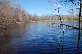 820 Billy Hicks Rd Lot 1, Roxboro, NC 27574