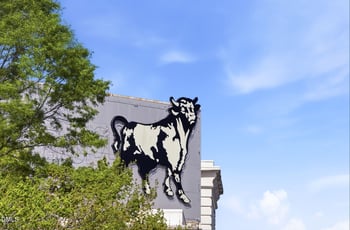 822 Gerard St, Durham, NC 27701