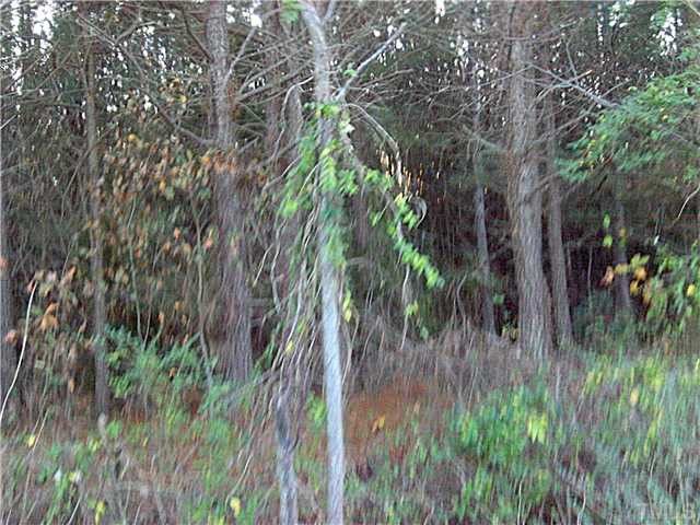 8230 Bryan Rd Lot 5, Garner, NC 27529