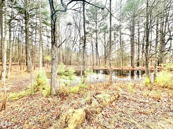 8245 Old Switchboard Rd, Snow Camp, NC 27349