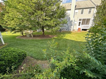 8251 Hempshire Pl #Apt 104, Raleigh, NC 27613