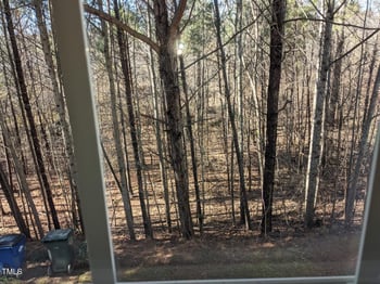 8253 City Loft Ct, Raleigh, NC 27613