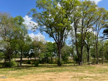 826 Olive Branch Dr, Smithfield, NC 27577