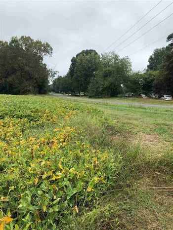 83 Tripp Rd, Lillington, NC 27546