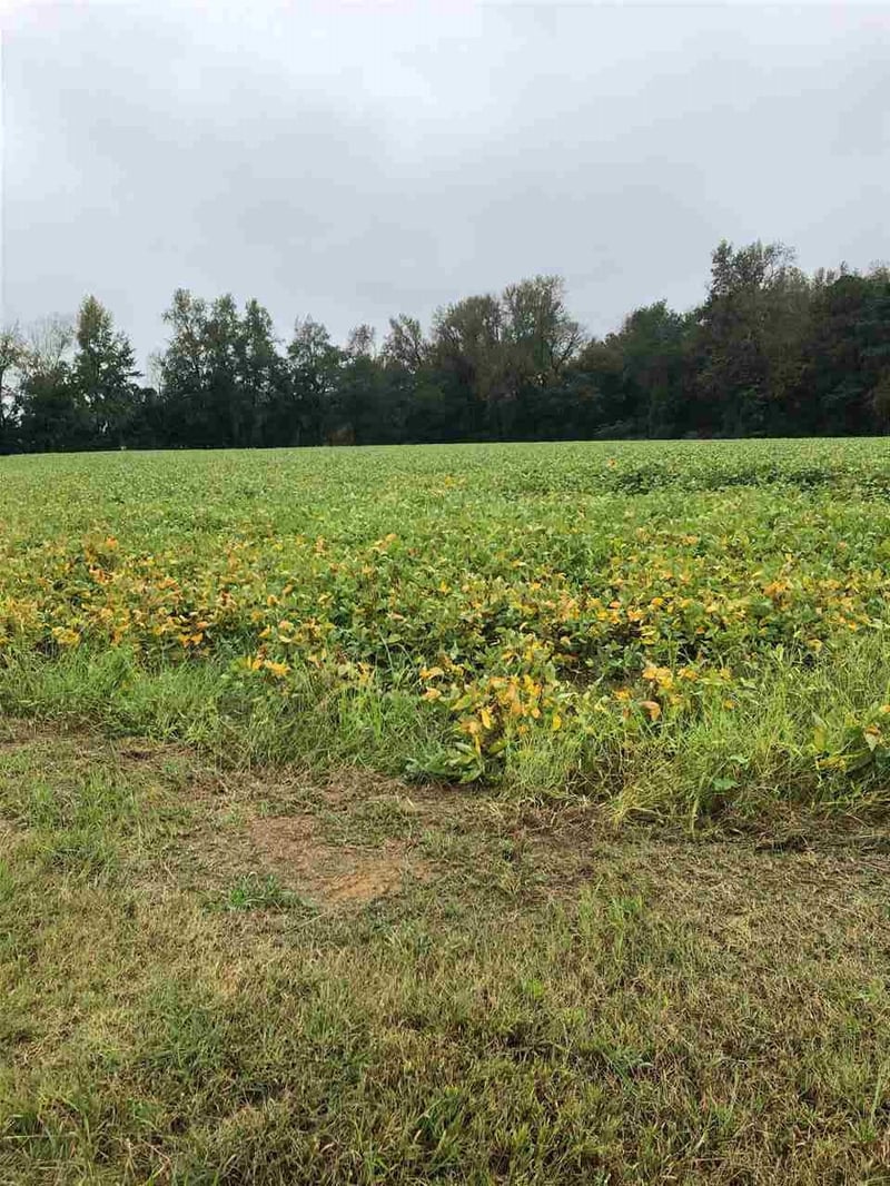 83 Tripp Rd, Lillington, NC 27546