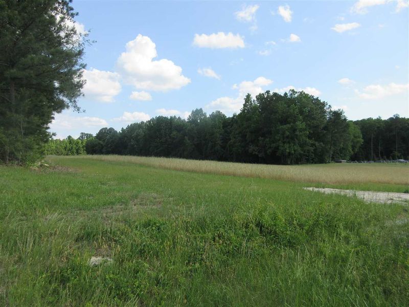 8304 Mitchell Mill Rd, Zebulon, NC 27597