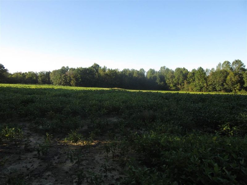 8309 Fowler Rd Lot 2, Zebulon, NC 27597