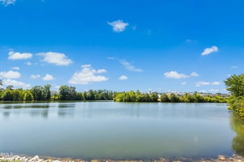 833 Abbyberry Dr, Wake Forest, NC 27587