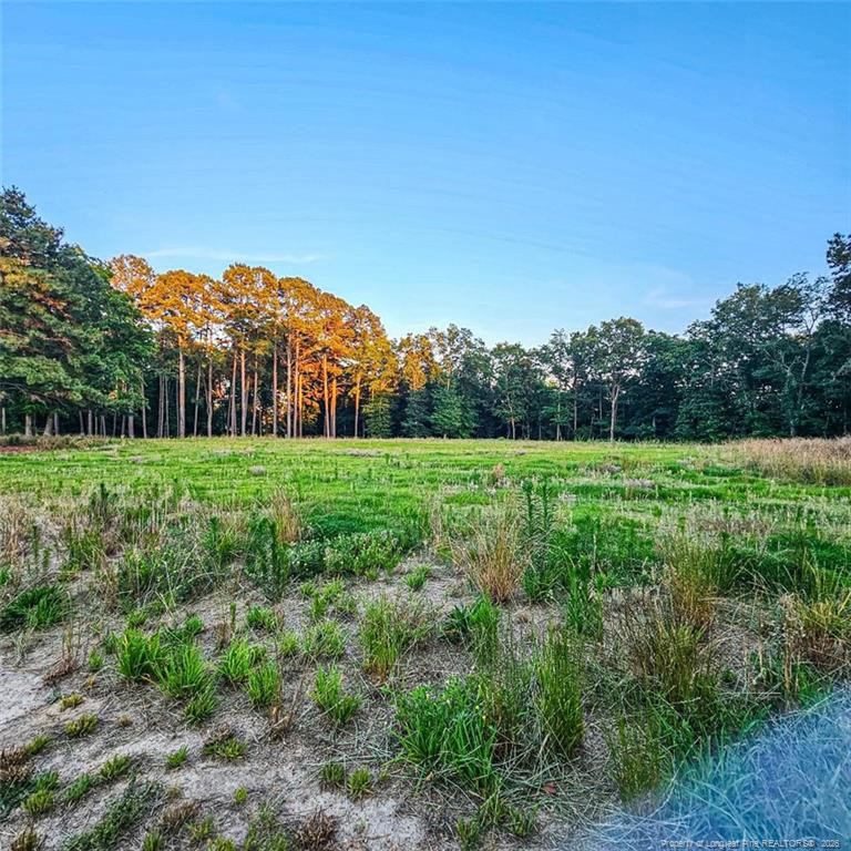 833 Brown Rd, Lillington, NC 27546