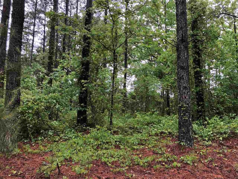 8330 Pine Wood Rd Lot 1, Middlesex, NC 27557