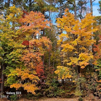 8409 Passage Marseille Ct, Raleigh, NC 27615