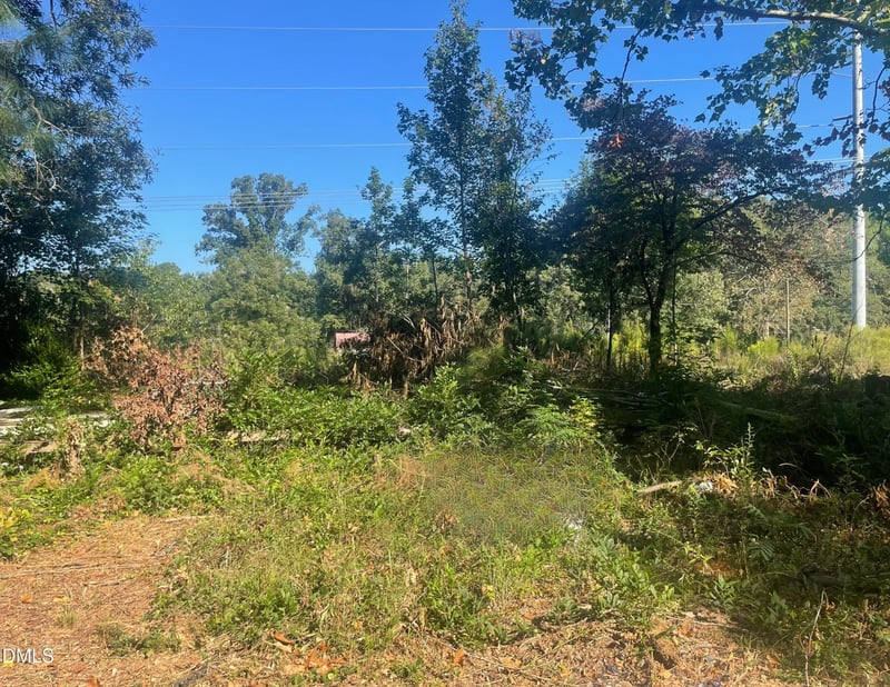 8411 Nc 27 W Lot 0023, Lillington, NC 27546