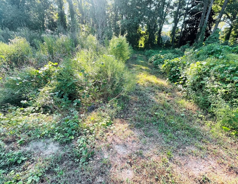 8411 Nc 27 W Lot 0023, Lillington, NC 27546