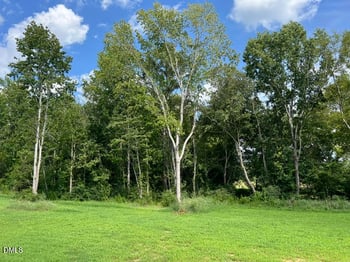842 Olive Branch Dr, Smithfield, NC 27577