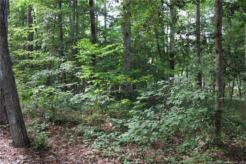 843 High Hill Pl, Sanford, NC 27332