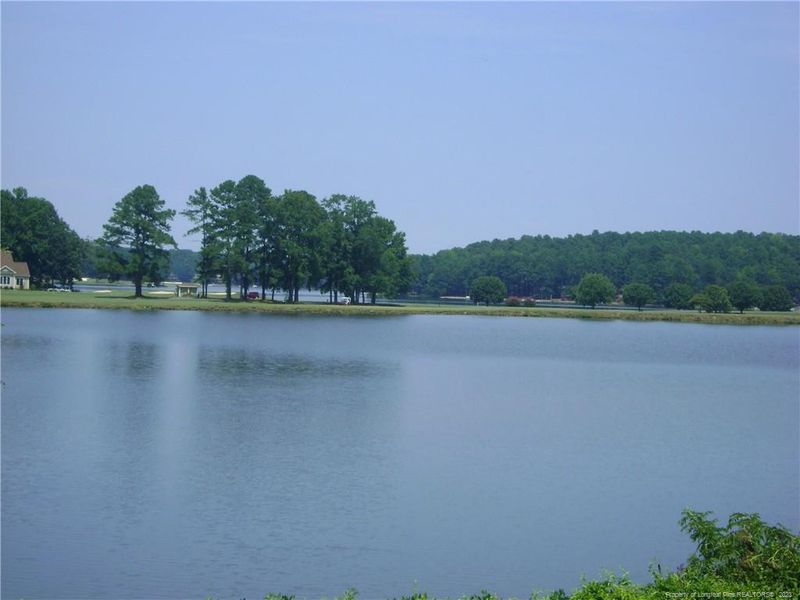 843 High Hill Pl, Sanford, NC 27332