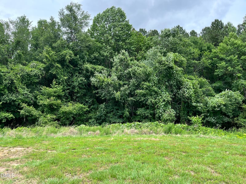 849 Lunar Light Dr, Wendell, NC 27591