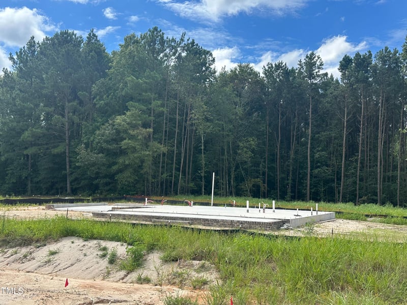 85 Fish Camp Dr, Wendell, NC 27591