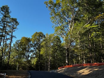 85 Noble Reserve Way Lot 1, Pittsboro, NC 27312