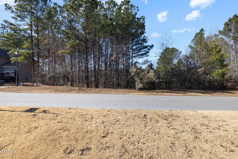 85 Point View Way Lot 717, Franklinton, NC 27525